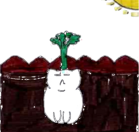 Panzetto ortaggio